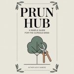 Prun Hub: A Simple Guide for the Curious Mind