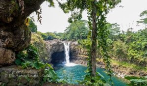 Things to Do in Hilo: A Complete Guide to Hawaii’s Lush Side