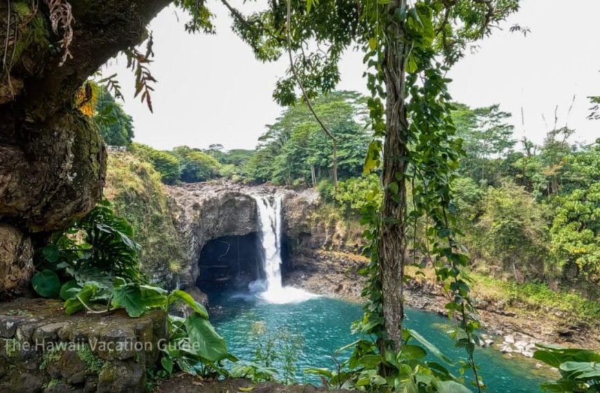 Things to Do in Hilo: A Complete Guide to Hawaii’s Lush Side