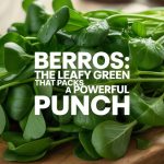 Berros: The Leafy Green That Packs a Powerful Punch